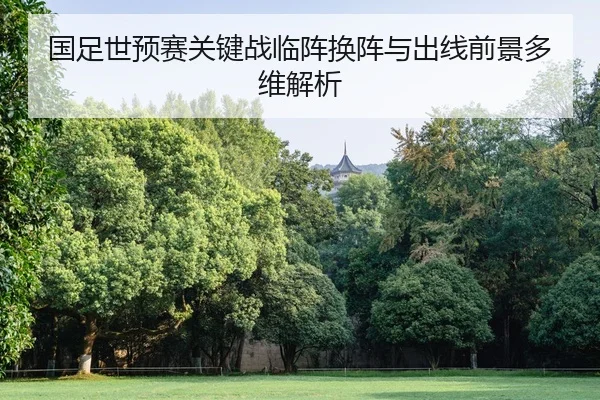 国足世预赛关键战临阵换阵与出线前景多维解析